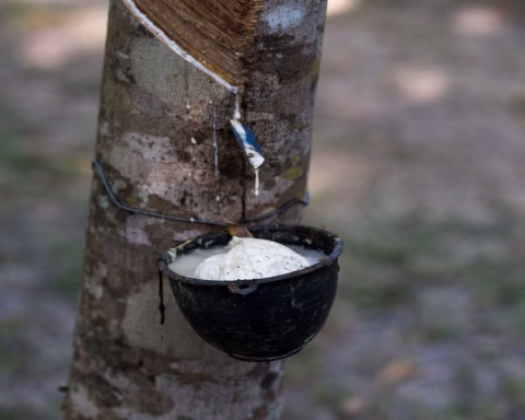 Asian Rubber Prices